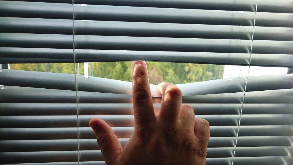 Peeking through the blinds