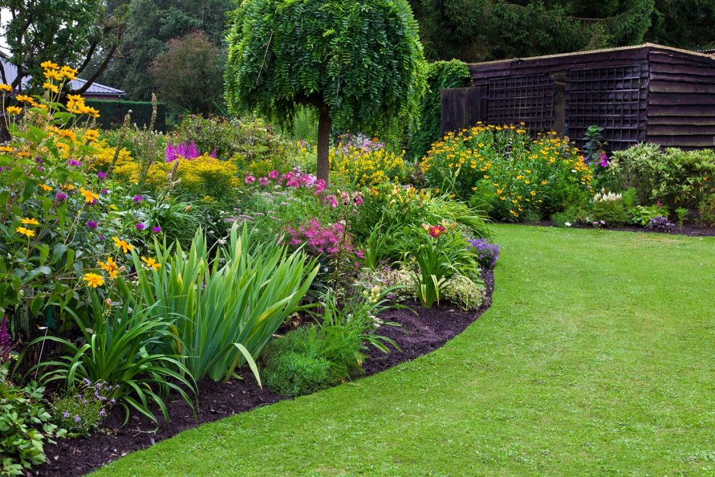 Backyard garden