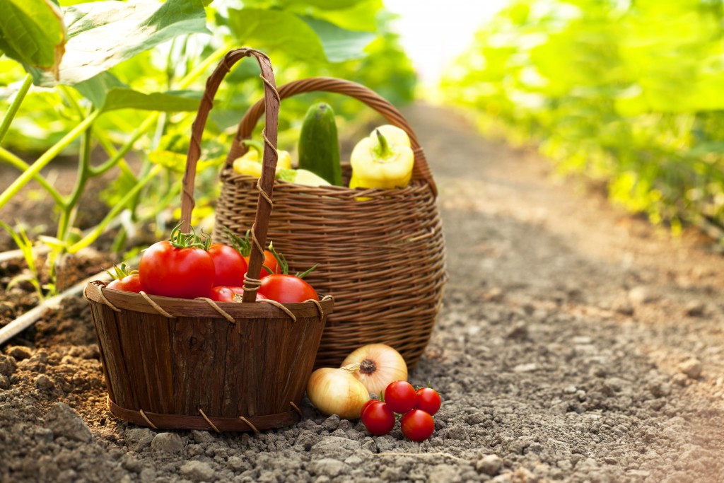 vegetables in baskets