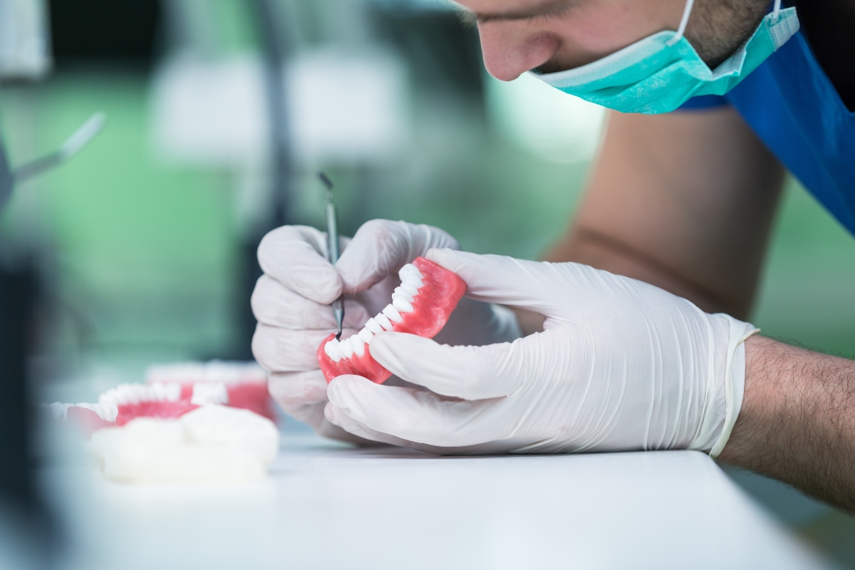 dentist with model teeth