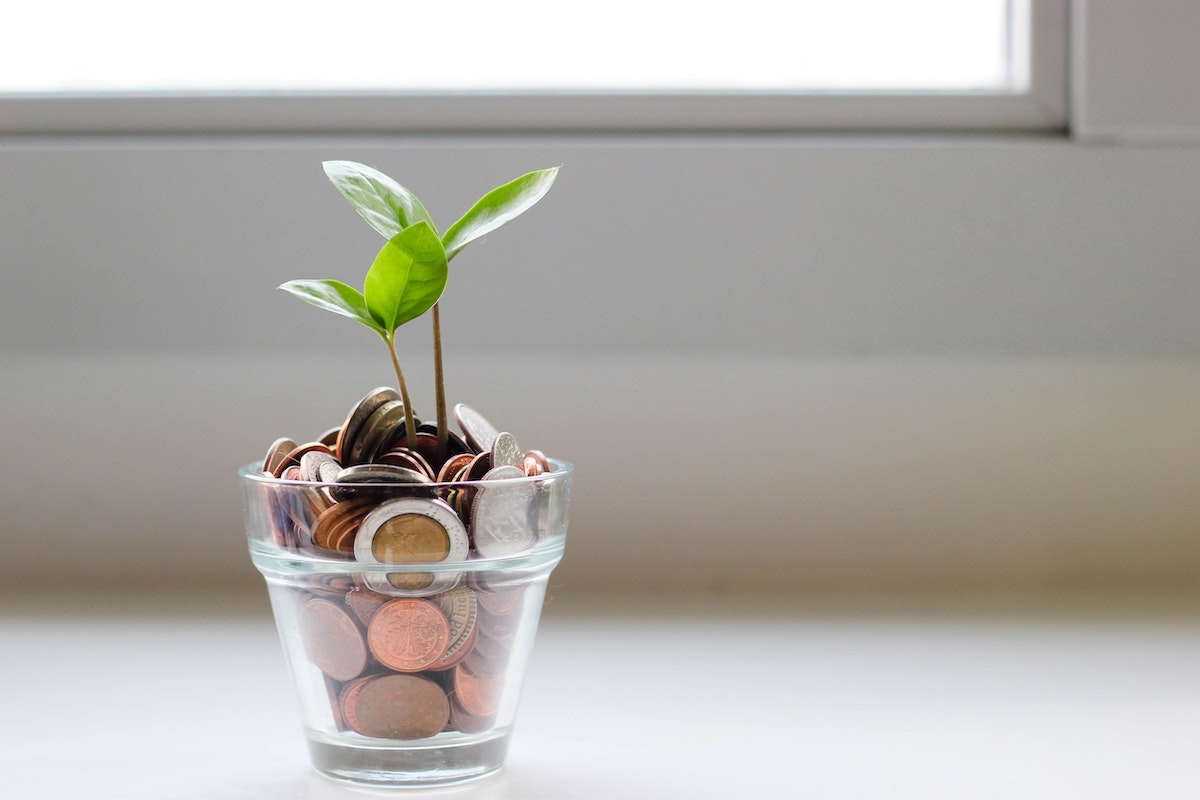 growing savings concept